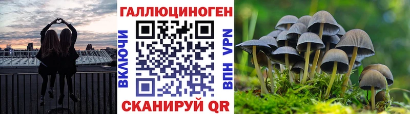 Купить  Онега  Галлюциногенные грибы MAGIC MUSHROOMS 